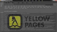 Example YellowPages Business Search